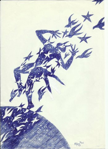 Disegni