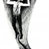 Disegni